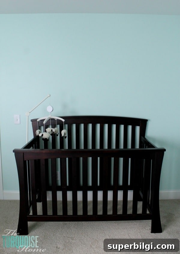 Benjamin Moore Lido Green | Baby Girl's Nursery | TheTurquoiseHome.com