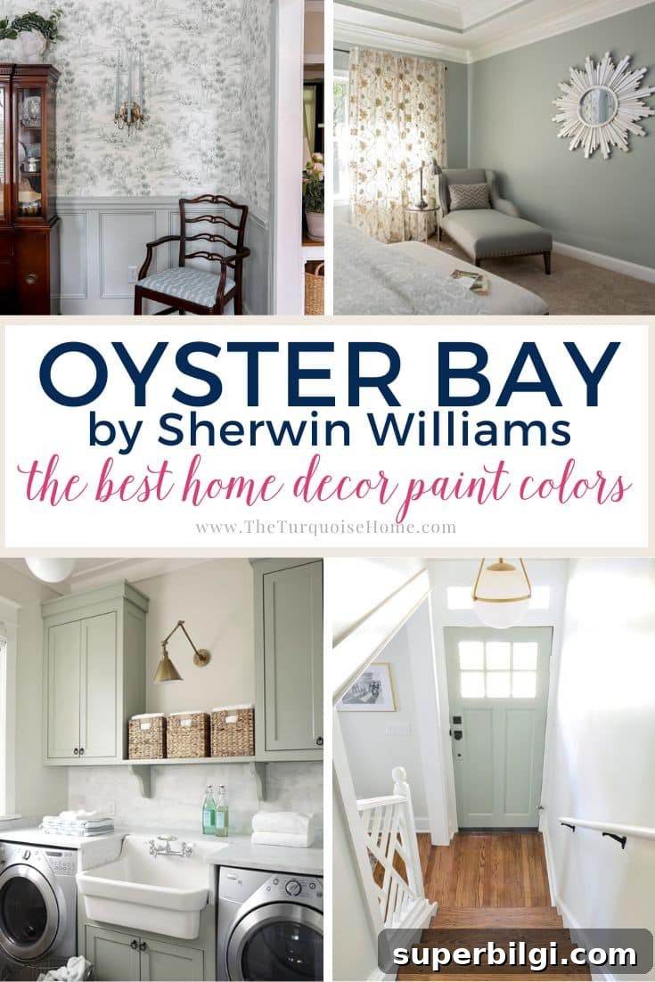 Sherwin Williams Oyster Bay