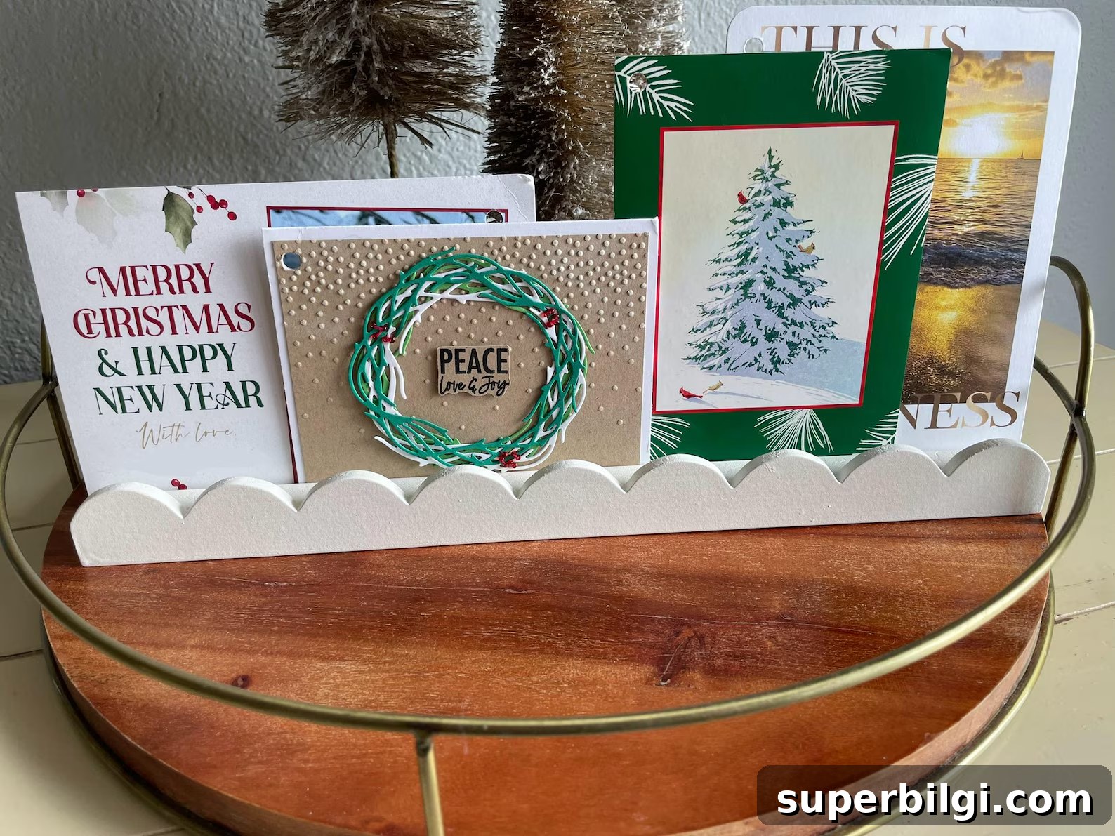 scallop edge card display
