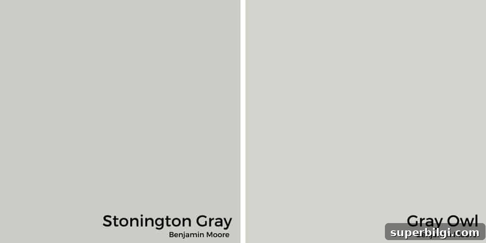 Benjamin Moore Stonington Gray Paint Color: Swatches & Hex Code 8 Stonington Gray vs. Gray Owl