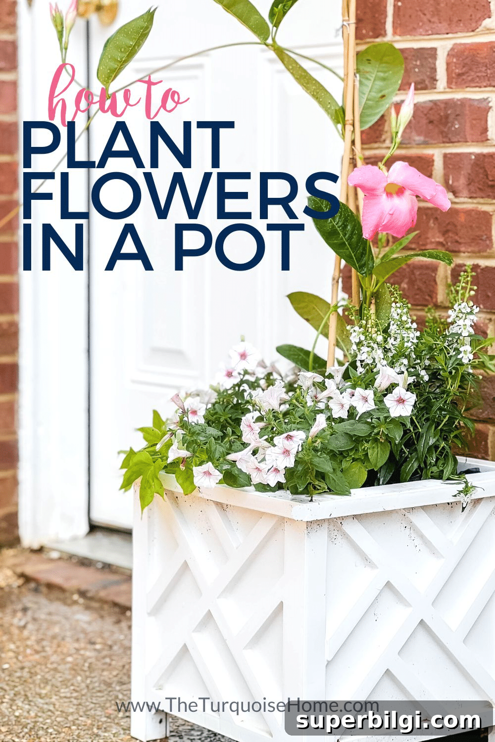 How to Plant Flowers in Pots, Planters and Containers 2 How to Plant Flowers in a Pot