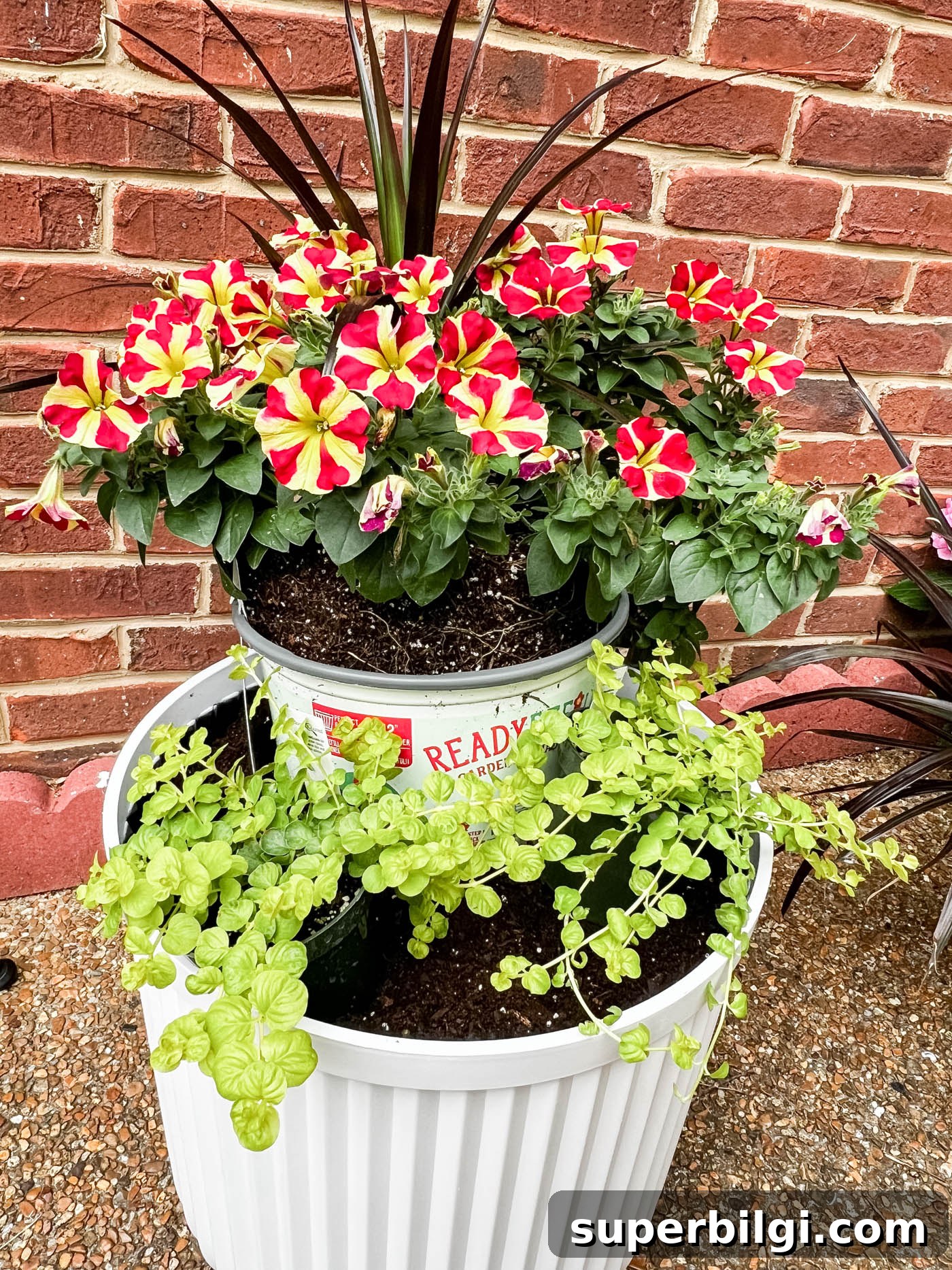 How to Plant Flowers in Pots, Planters and Containers 8 Dry fit flowers in planter