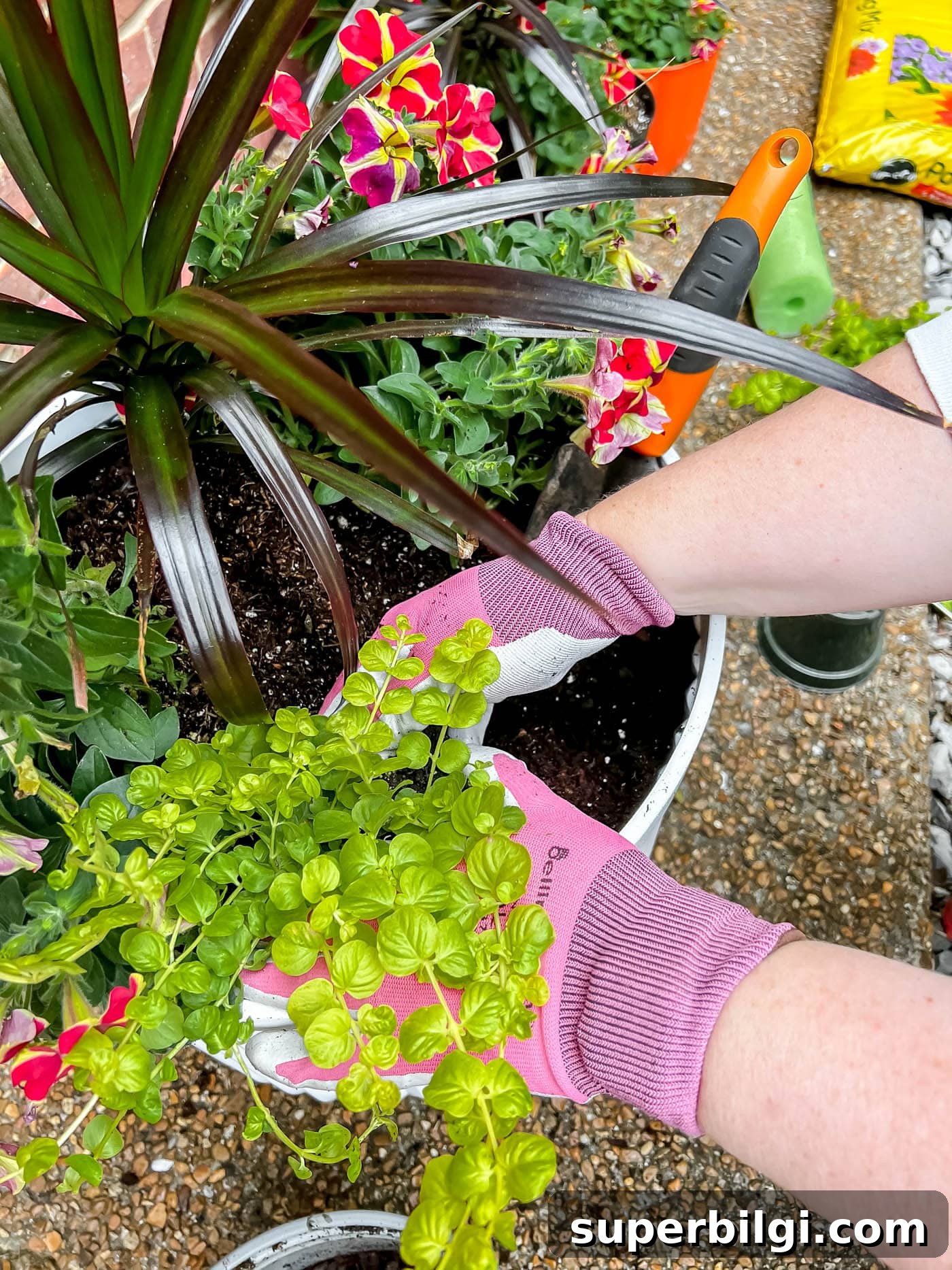 How to Plant Flowers in Pots, Planters and Containers 10 Planting flowers in a pot or container