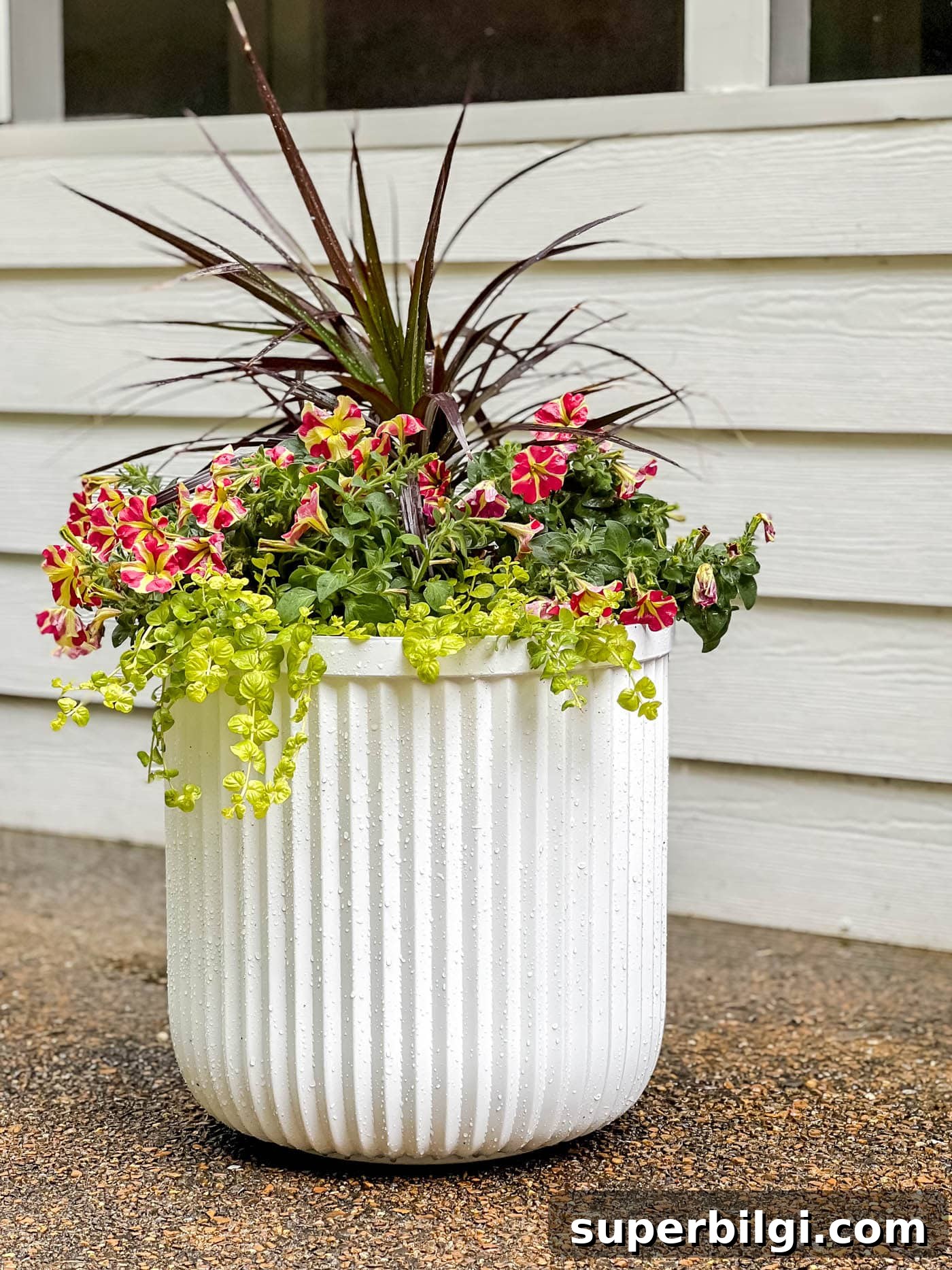 How to Plant Flowers in Pots, Planters and Containers 11 Planter filled with thriller, filler, spiller plants