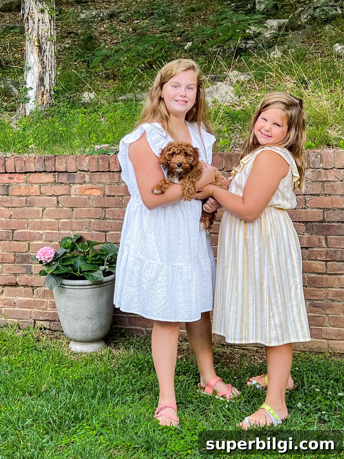 Life Update: Backyard Makeover Progress and What's Next 2 Cavapoo puppy and girls