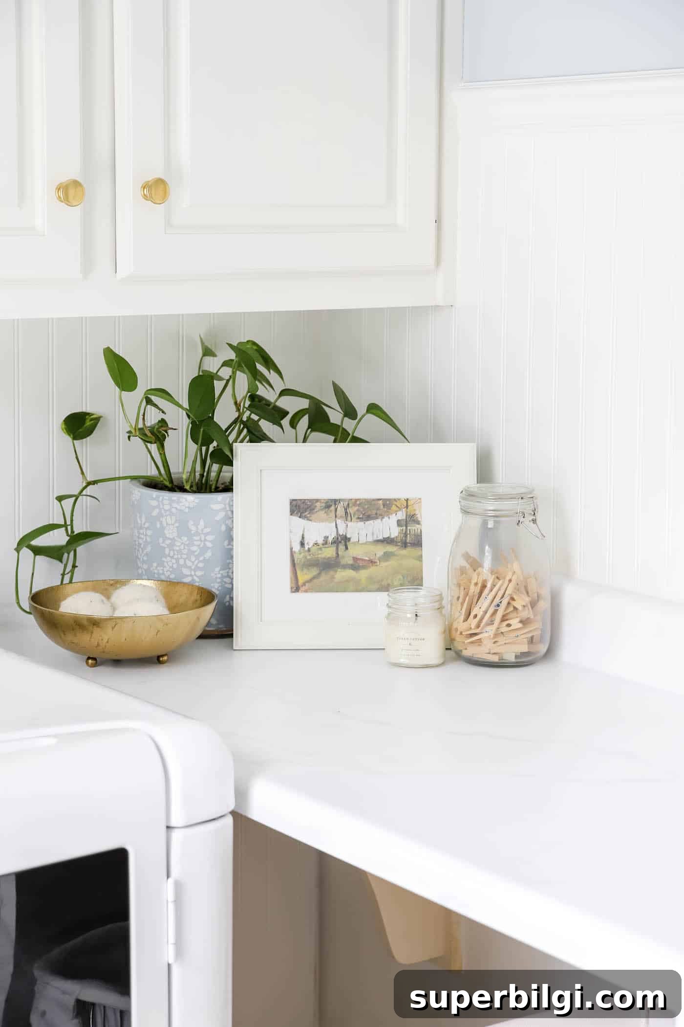 16 Budget Friendly Laundry Room Storage Ideas 20 greenery in the laundry room makeover ideas
