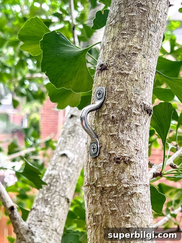 Hang Outdoor String Lights: DIY Patio and Backyard Tips 11 Bracket attached to a tree to hang string lights.