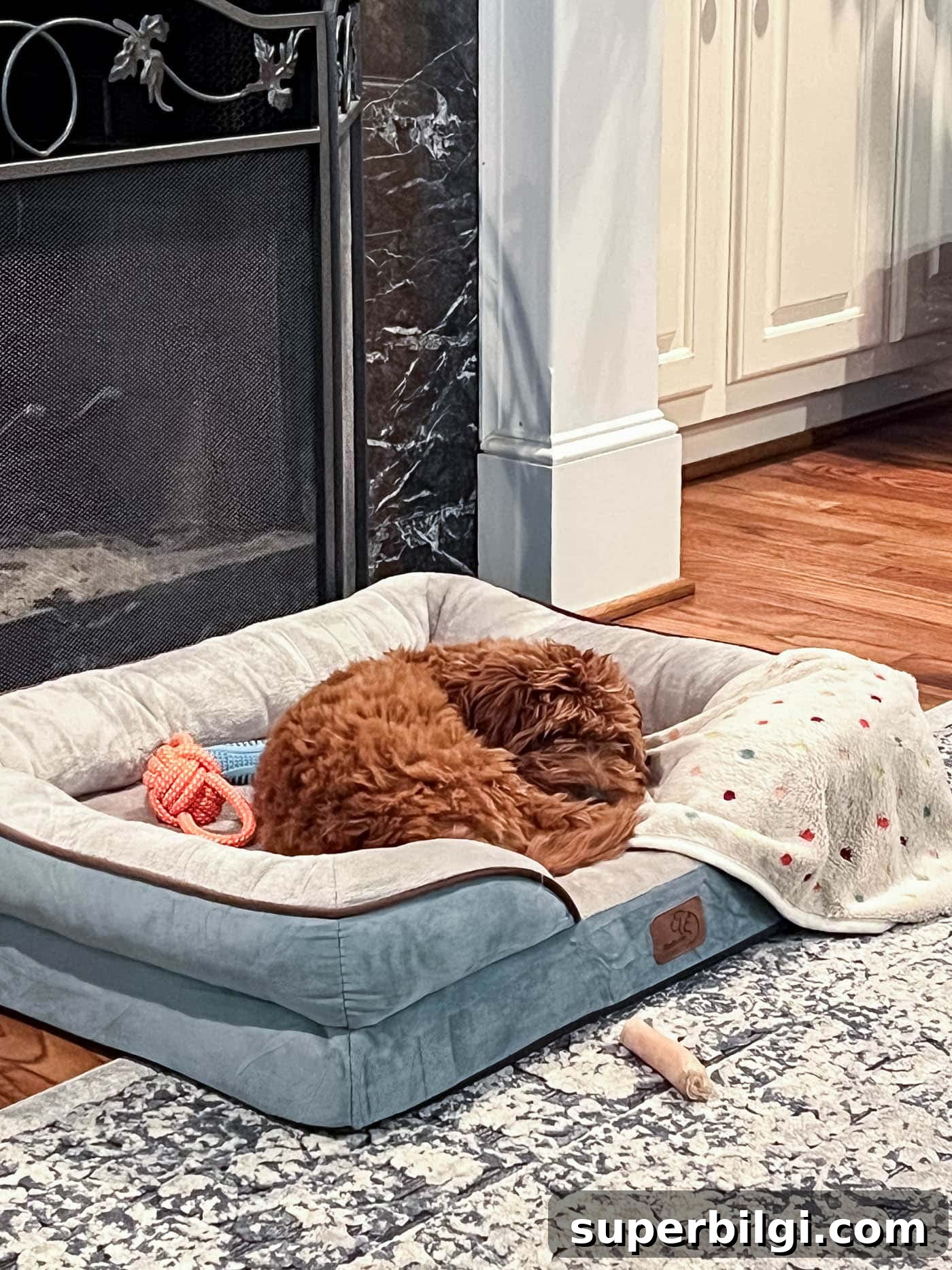 10+ Stylish Dog Crate Furniture Ideas for Modern Homes 3 Dog in a blue and white dog bed in front of a fireplace.