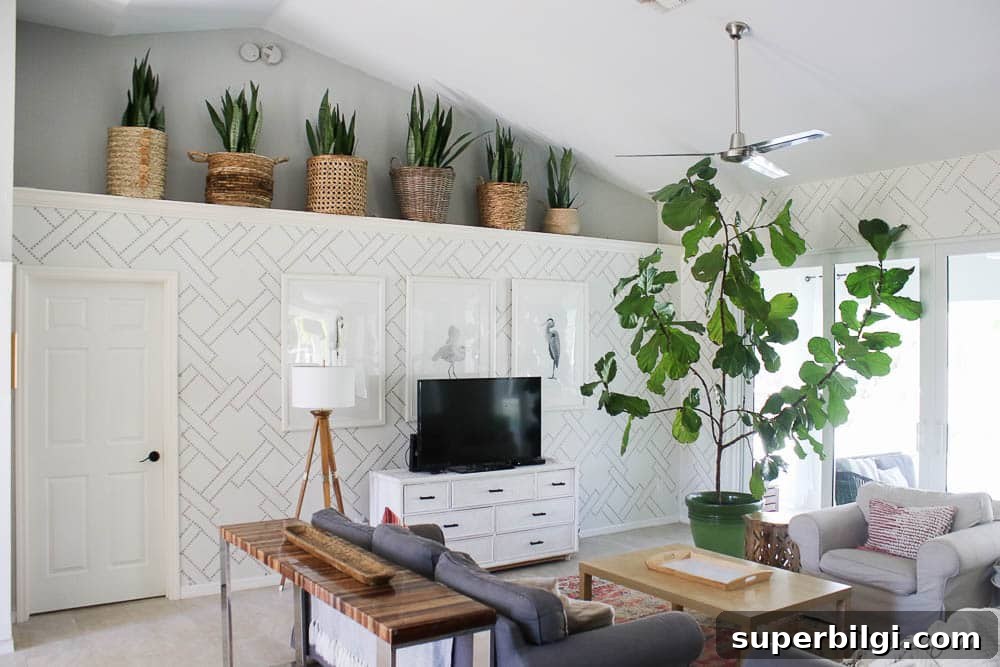 How to Care for Snake Plants: Light, Watering and Troubleshooting 4 several snake plants on a ledge overlooking a living room