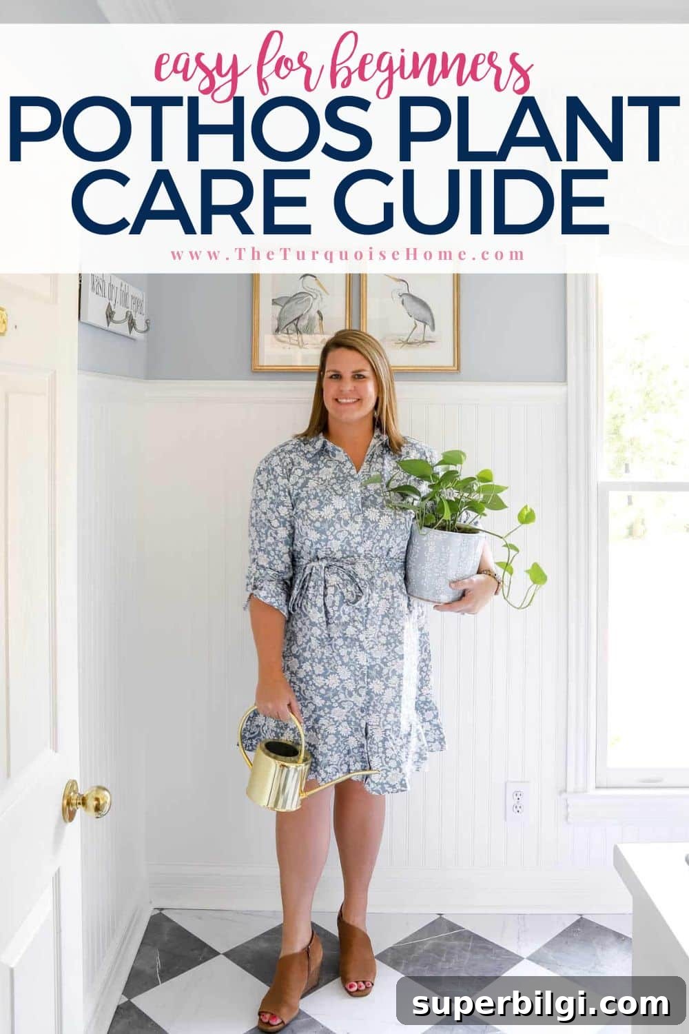 pothos plant care guide
