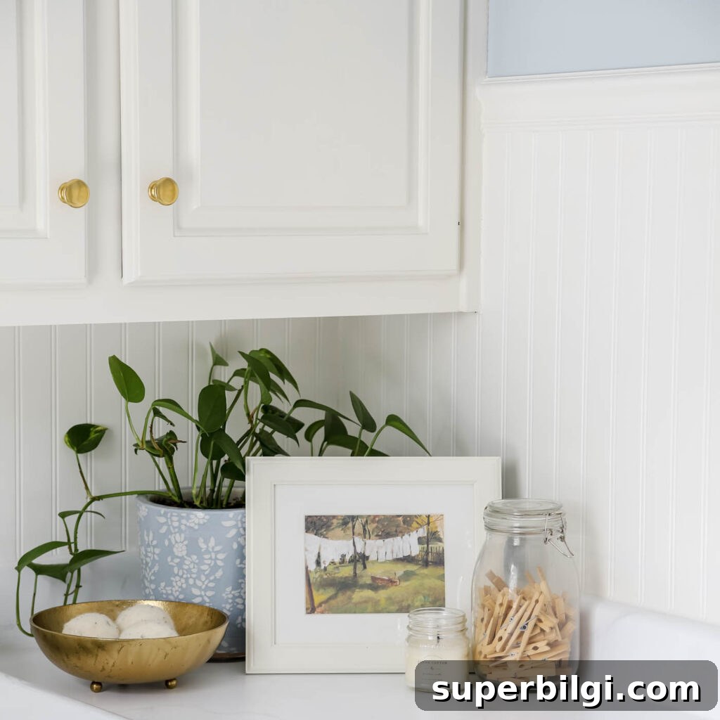 Beadboard wall treatment and pothos plant in laundry room.