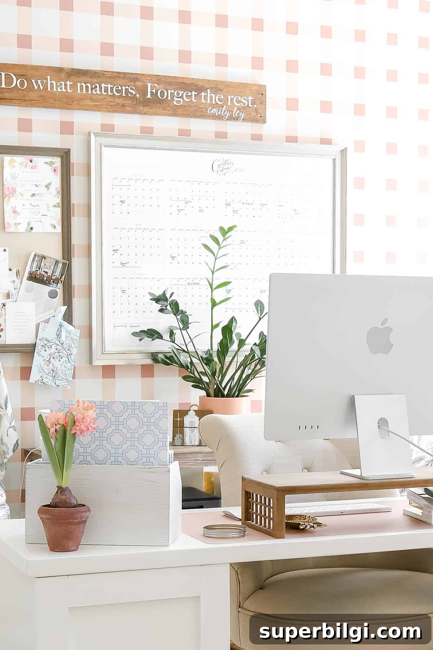 How to Get Rid of Fungus Gnats in Houseplants 2 ZZ plant in the background of a feminine office.