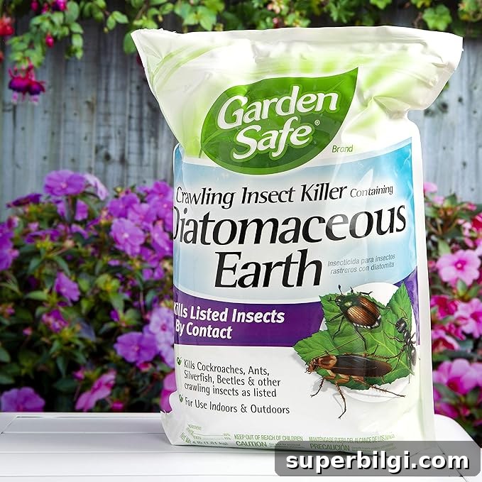 How to Get Rid of Fungus Gnats in Houseplants 9 Diatomaceous Earth