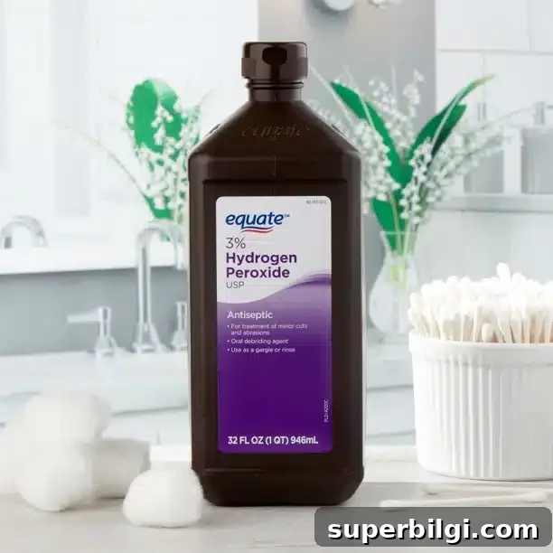 How to Get Rid of Fungus Gnats in Houseplants 11 Hydrogen Peroxide Soil Drench
