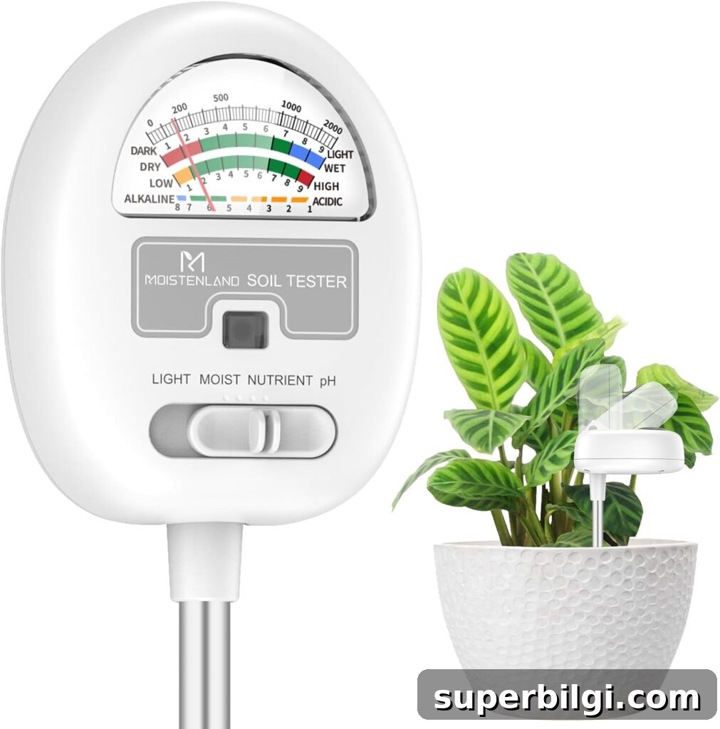 How to Get Rid of Fungus Gnats in Houseplants 14 soil tester meter