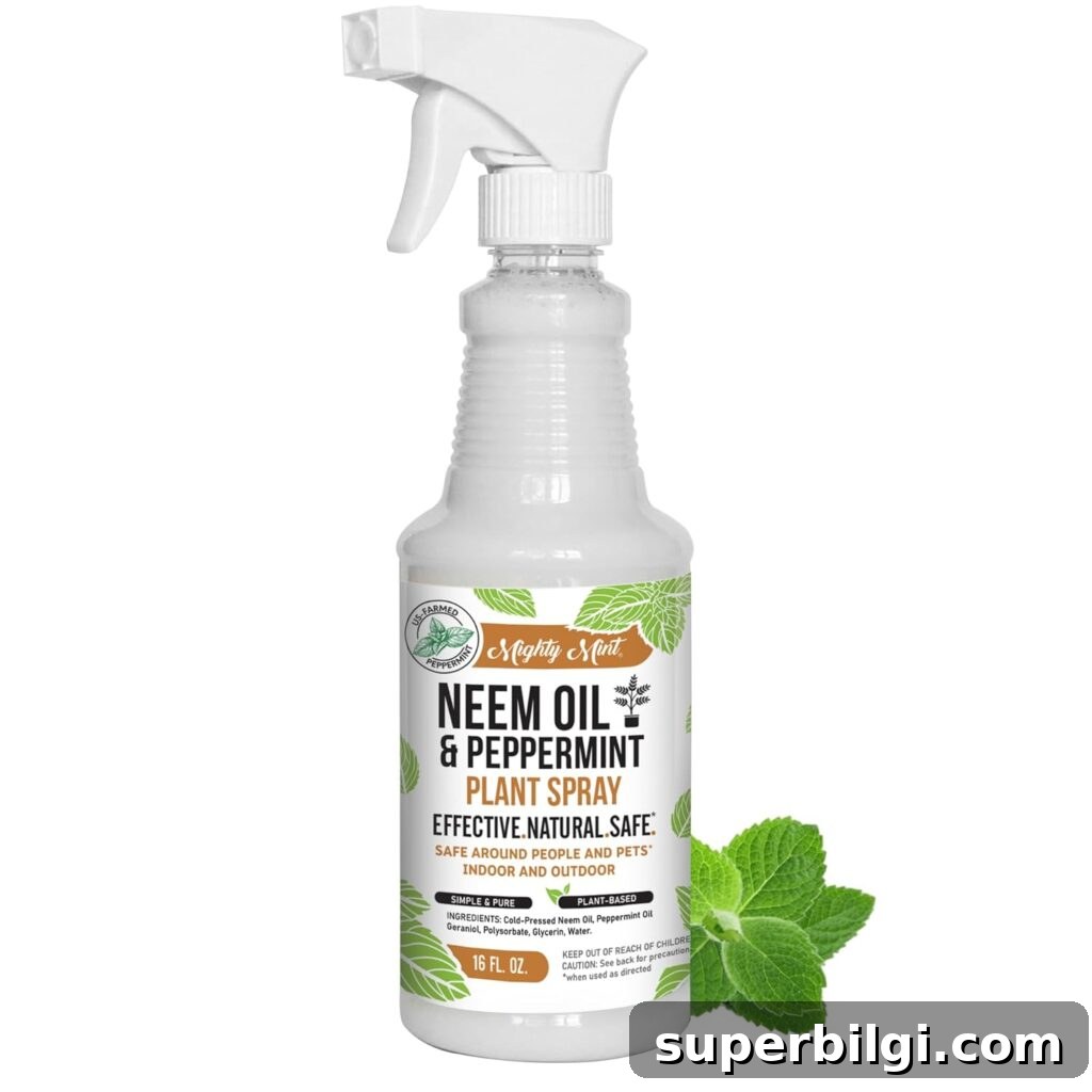 How to Get Rid of Fungus Gnats in Houseplants 6 neem oil and peppermint oil for plants