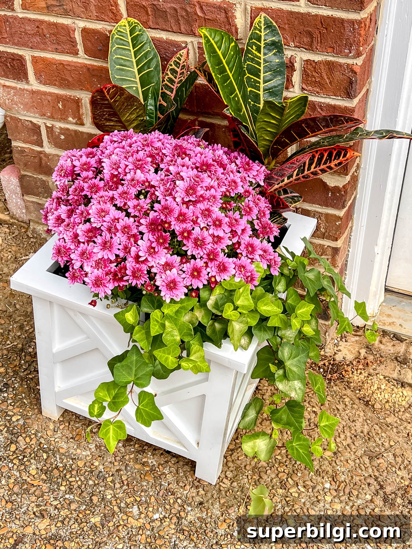 7 Creative Outdoor Fall Decorating Ideas 11 Fall planter with croton, mum and english ivy.
