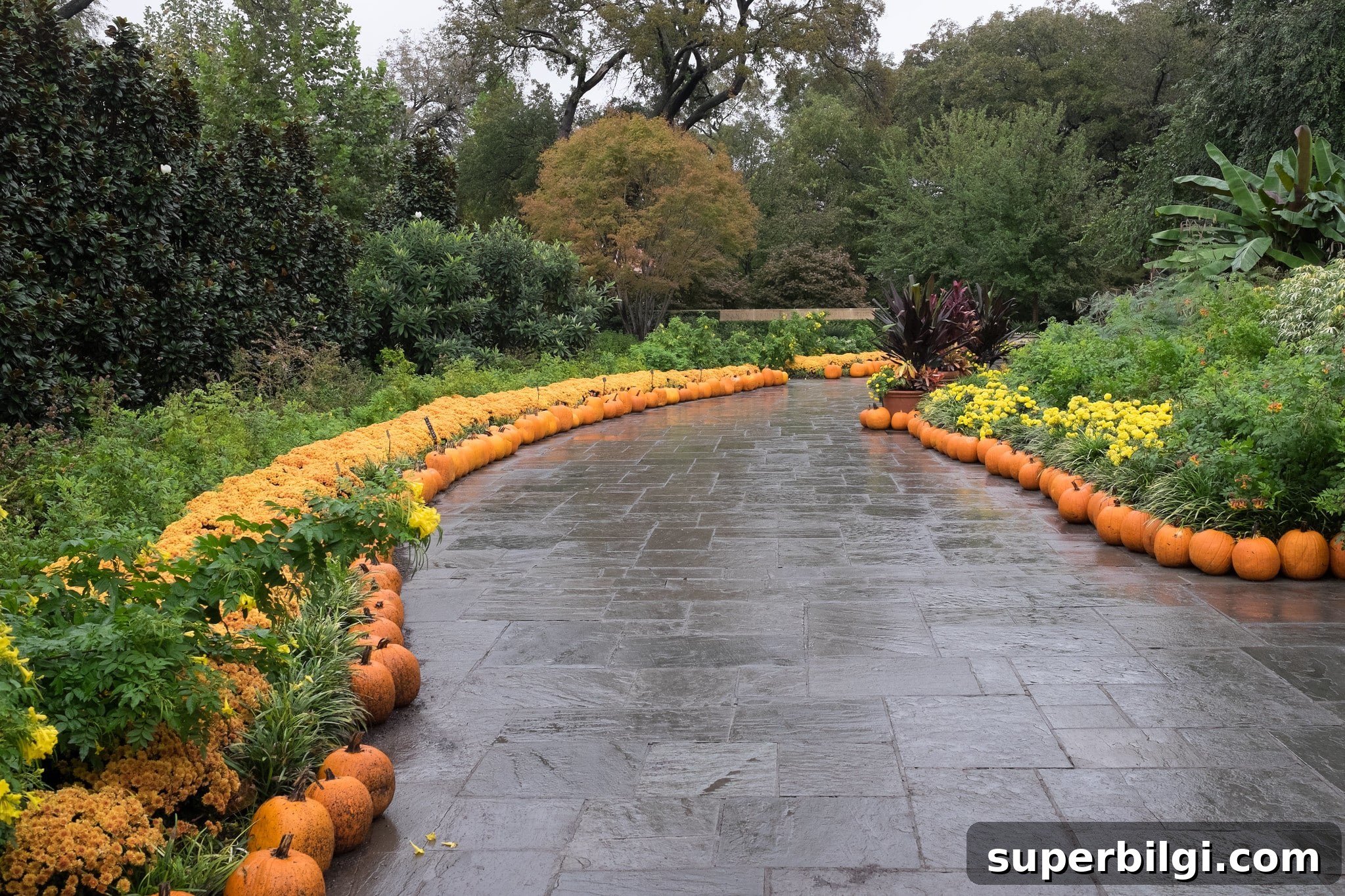 7 Creative Outdoor Fall Decorating Ideas 14 walkway lined with pumpkins.