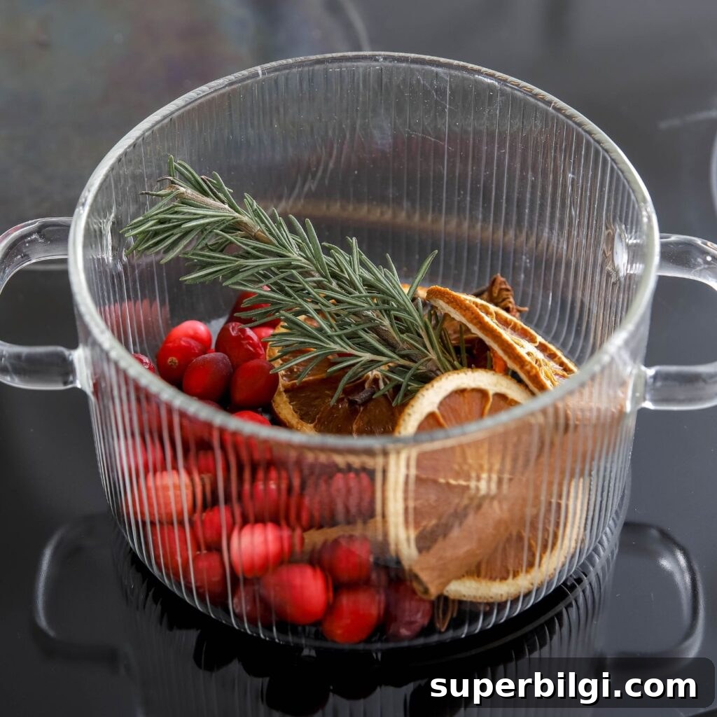 Christmas simmer pot without any water.