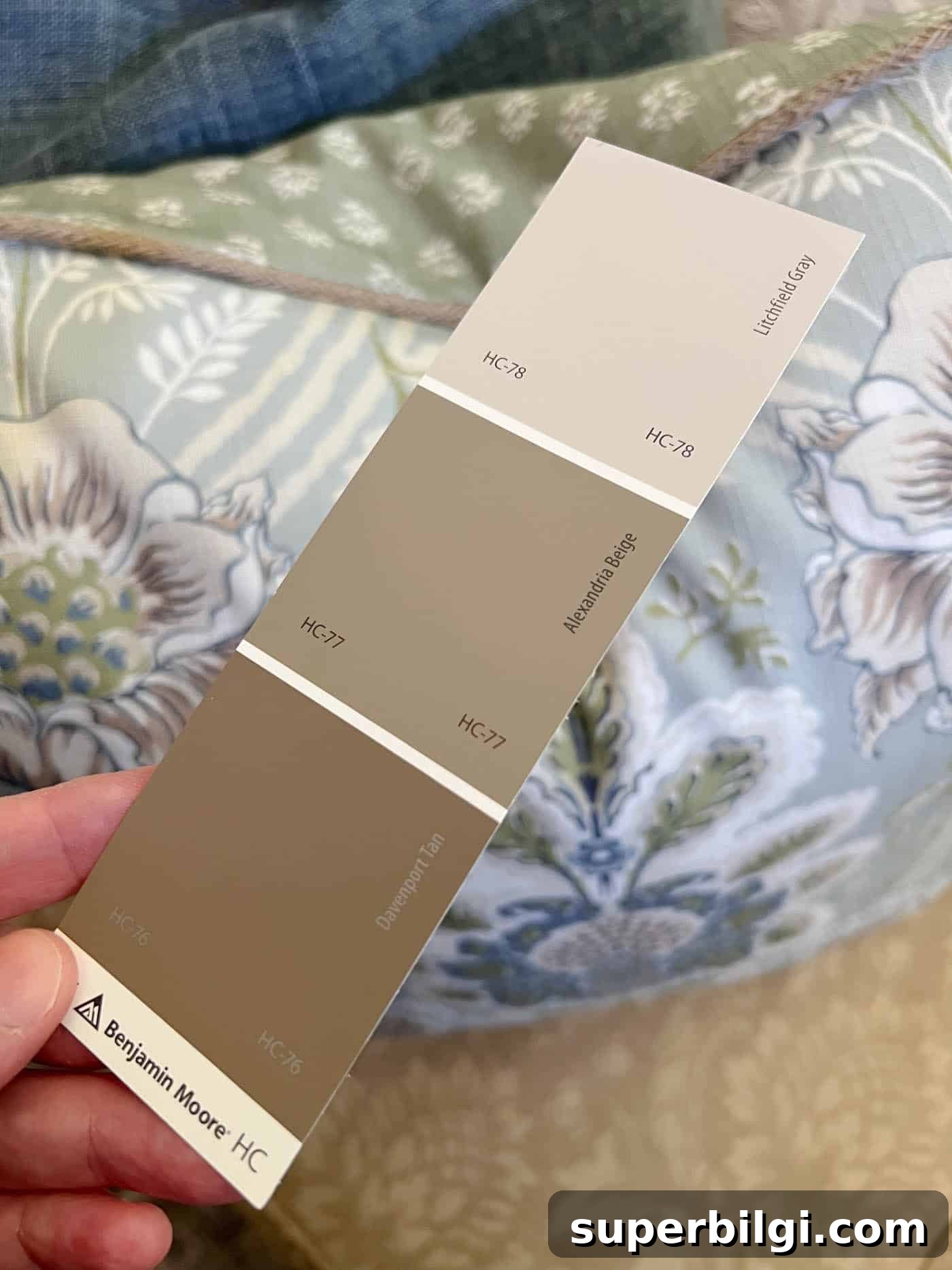brown paint swatch next to a throw pillow