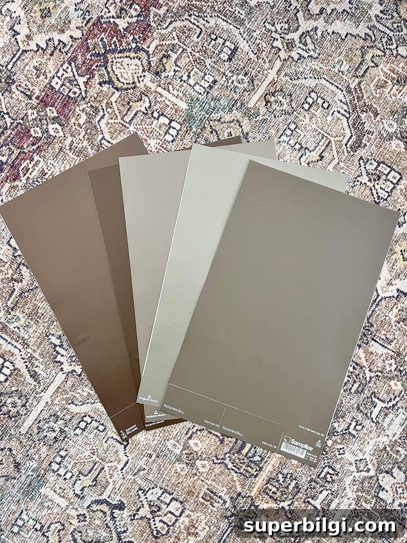 fan of paint swatches on the floor.
