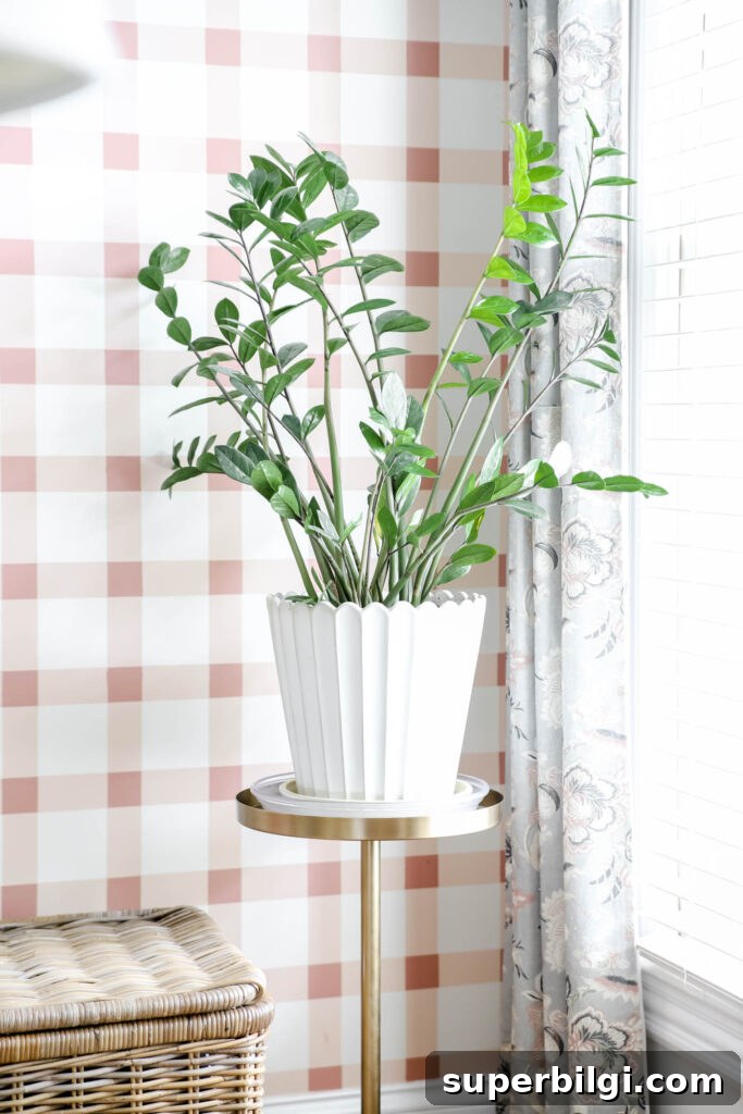 Timeless Home Decor Items That Transform Any Room 5 ZZ plant in a scalloped plant with a plaid pink and white wall behind it.
