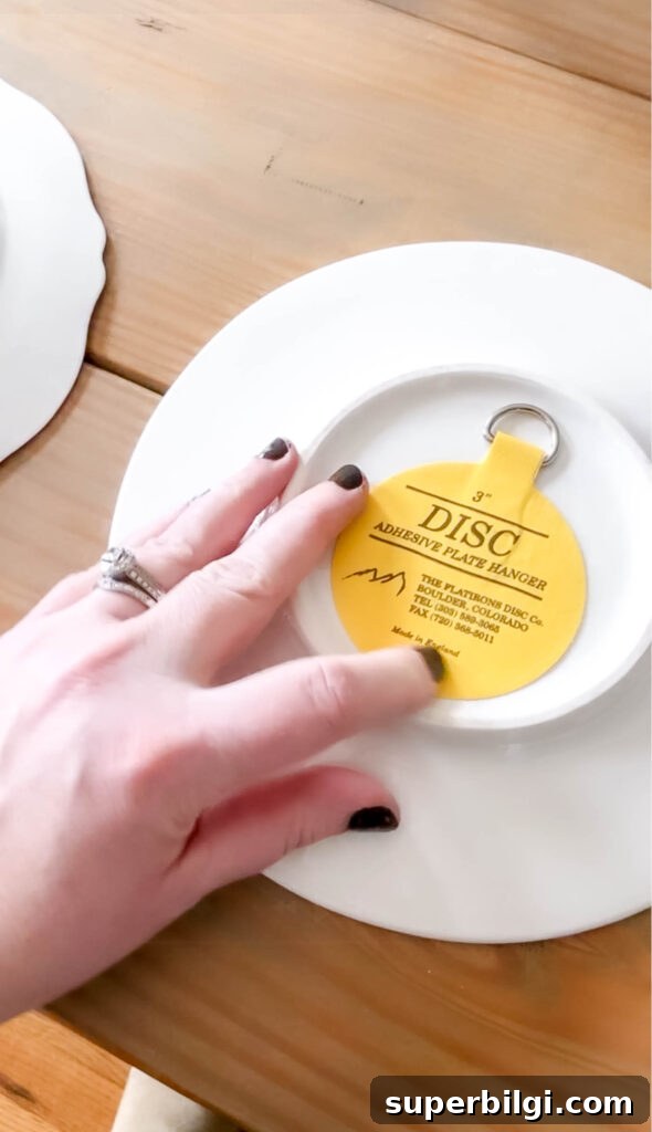 How to Hang Decorative Plates on a Wall Safely 7 press on the back of the adhesive plate hanger to make sure it's well adhered.