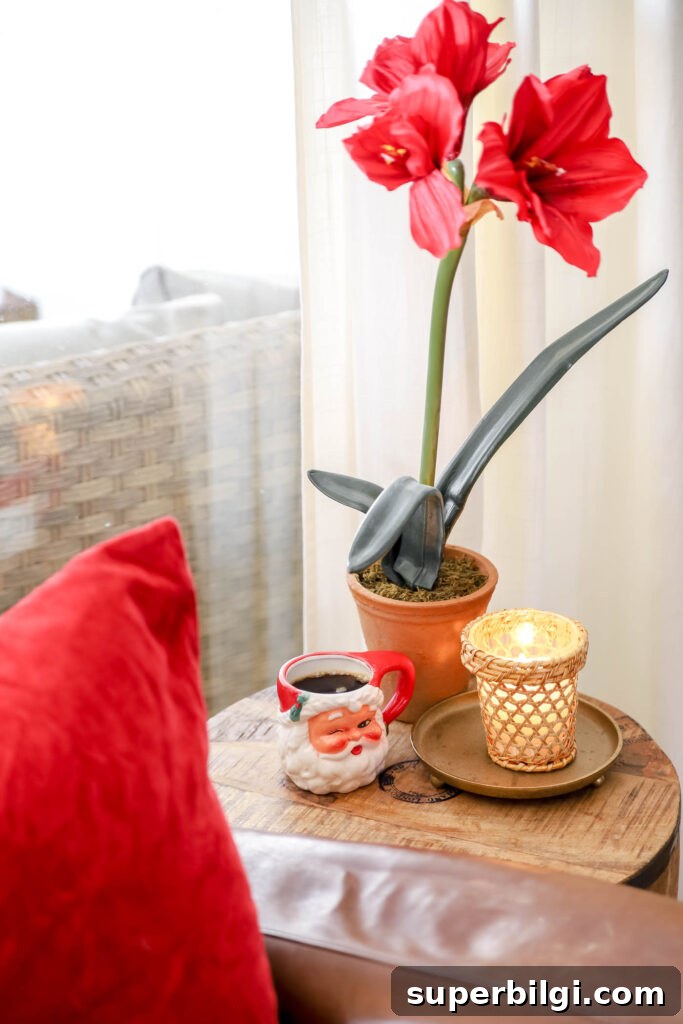 Santa mug with poinsettia flower and candle next to a leather chair with a red velvet pillow.