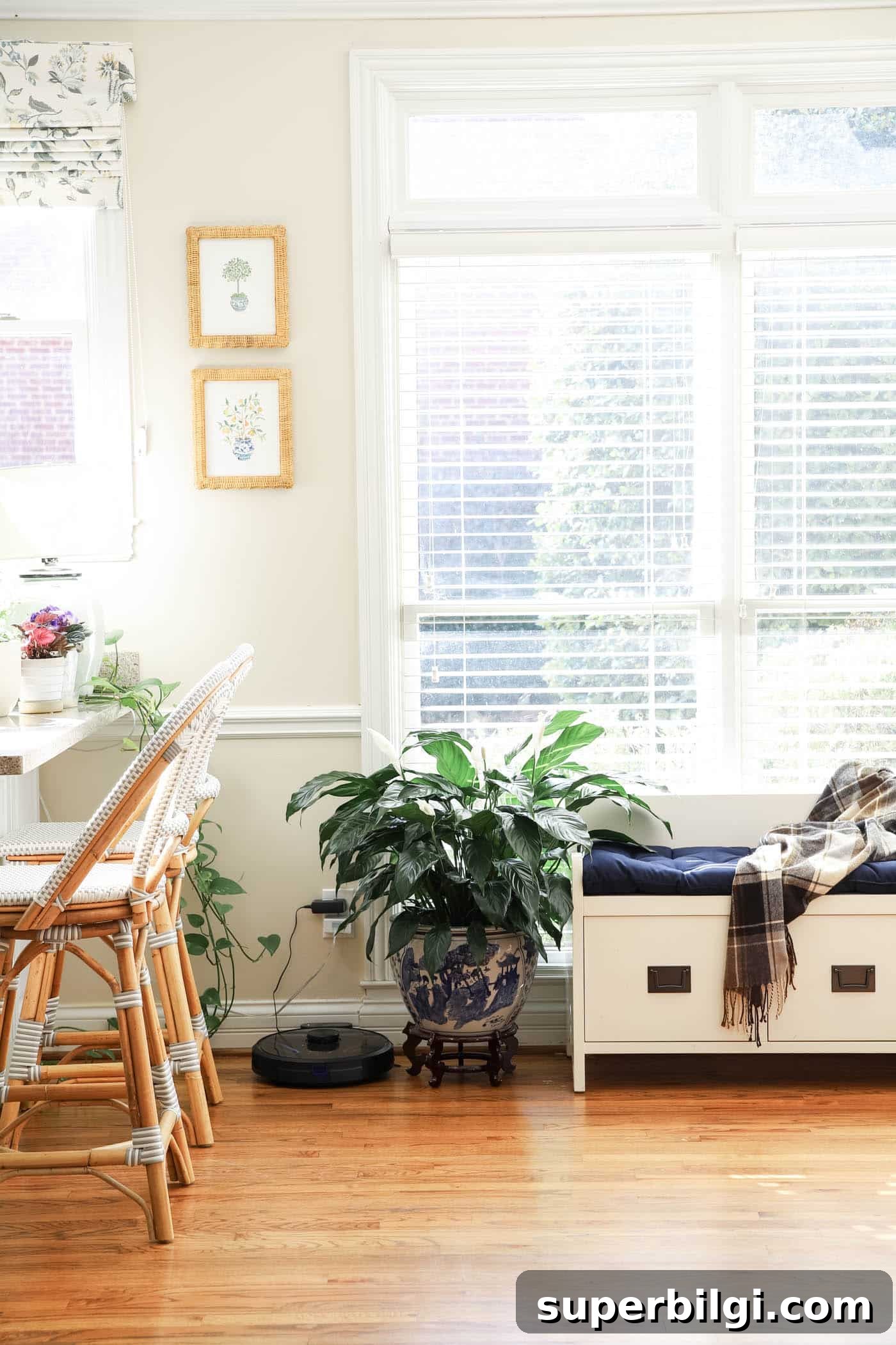 Simple corner of a kitchen with large peace lily and chinoiserie planter and stand.