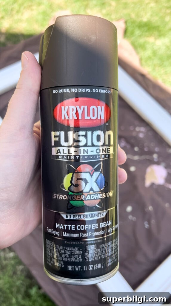 Krylon spray paint in dark brown matte color.