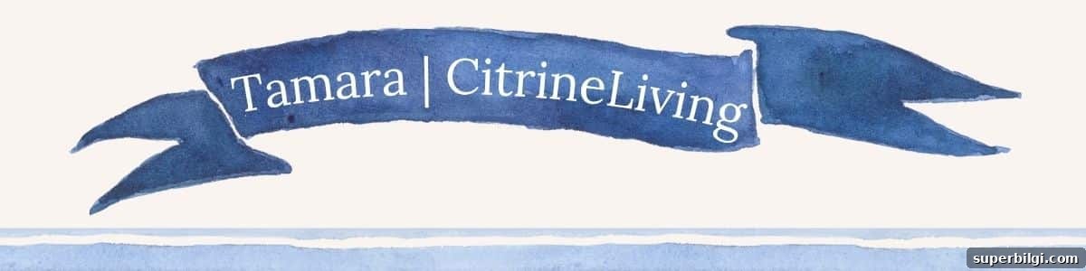 Chic Bedroom Updates, Outdoor Living and Memorial Day Ideas 3 Tamara at CitrineLiving HSS header
