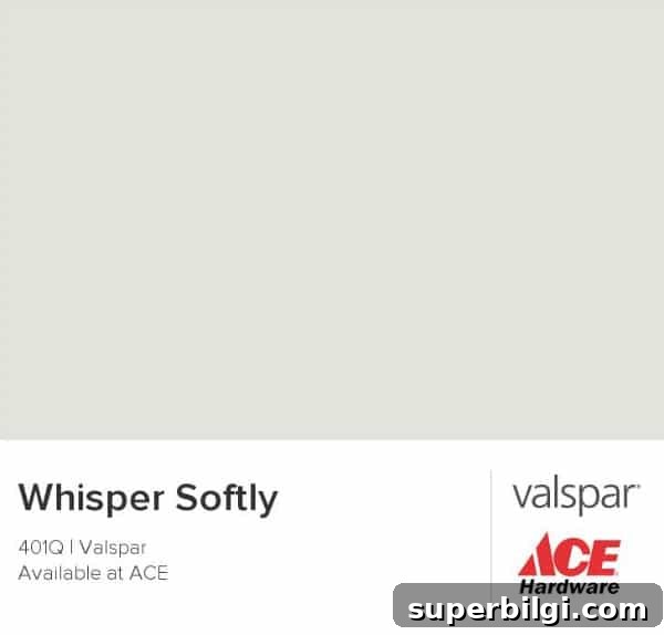 DIY Painted Drop Cloth Rug and Nursery Update 9 Whisper Softly from Valspar | DIY Painted Drop Cloth Rug | TheTurquoiseHome.com
